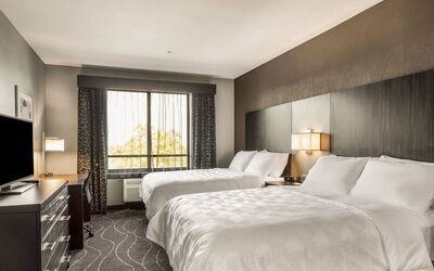 Modern guest room featuring two beds, television, workspace, large window, and contemporary décor at Holiday Inn & Suites Silicon Valley - Milpitas.