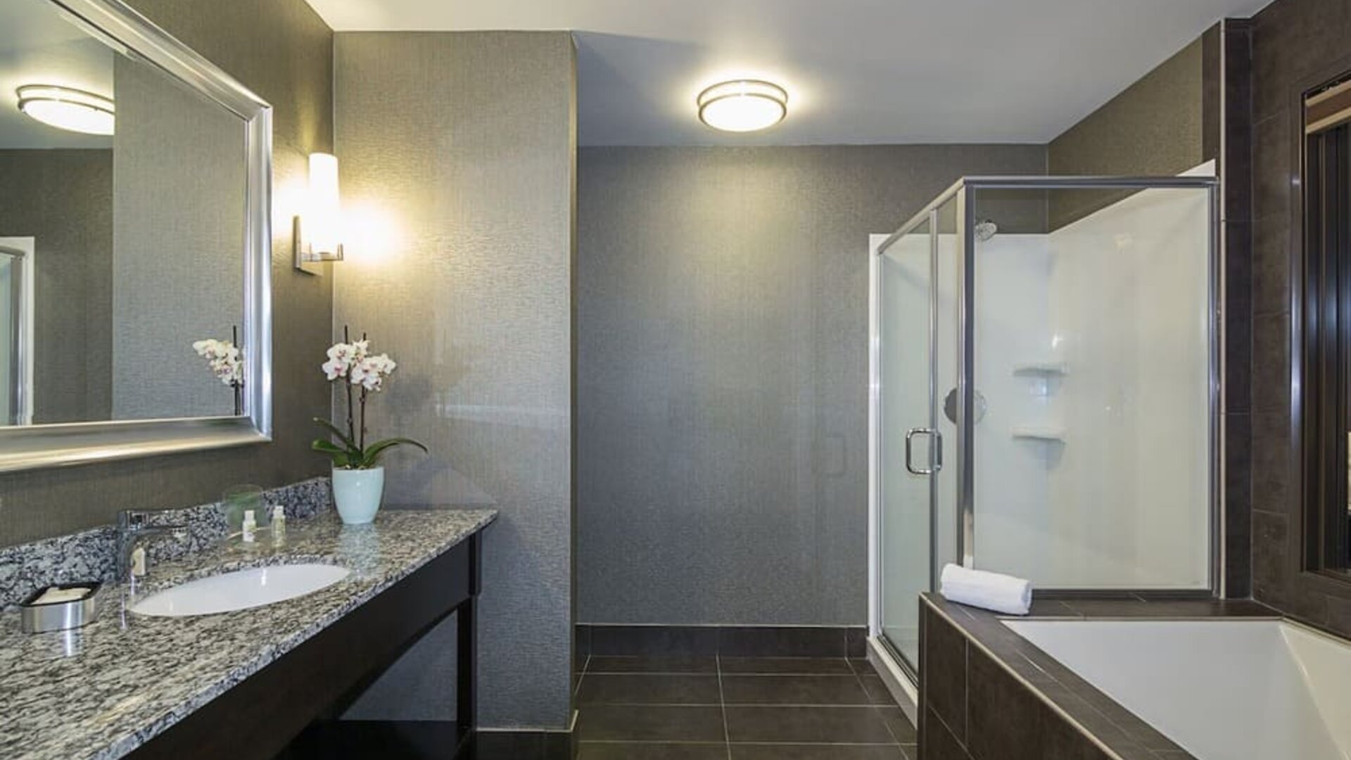 Spacious guest bathroom featuring a granite vanity, large mirror, walk-in shower, and separate bathtub at Holiday Inn & Suites Silicon Valley - Milpitas.