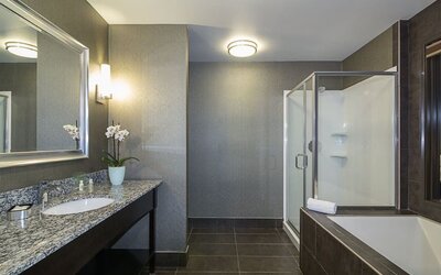 Spacious guest bathroom featuring a granite vanity, large mirror, walk-in shower, and separate bathtub at Holiday Inn & Suites Silicon Valley - Milpitas.