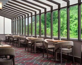 Bright dining area featuring comfortable seating, individual tables, and floor-to-ceiling windows overlooking greenery at Wyndham Garden Pittsburgh Airport.