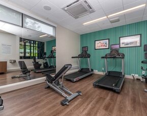 Modern hotel fitness center with treadmills, exercise bikes, adjustable weight bench, dumbbells, mirrored wall, and wood-look flooring.