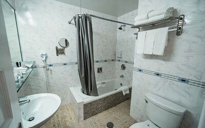 Guest bathroom with shower and tub at Congress Plaza Hotel.