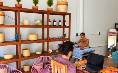 Relaxed coworking space with people working on laptops at colorful tables, pink woven chairs, decorative wooden shelving, potted plants, and warm pendant lighting.