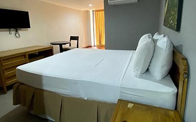 Guest room with double bed, television, desk and air conditioning at Hotel Puerta de Oro.