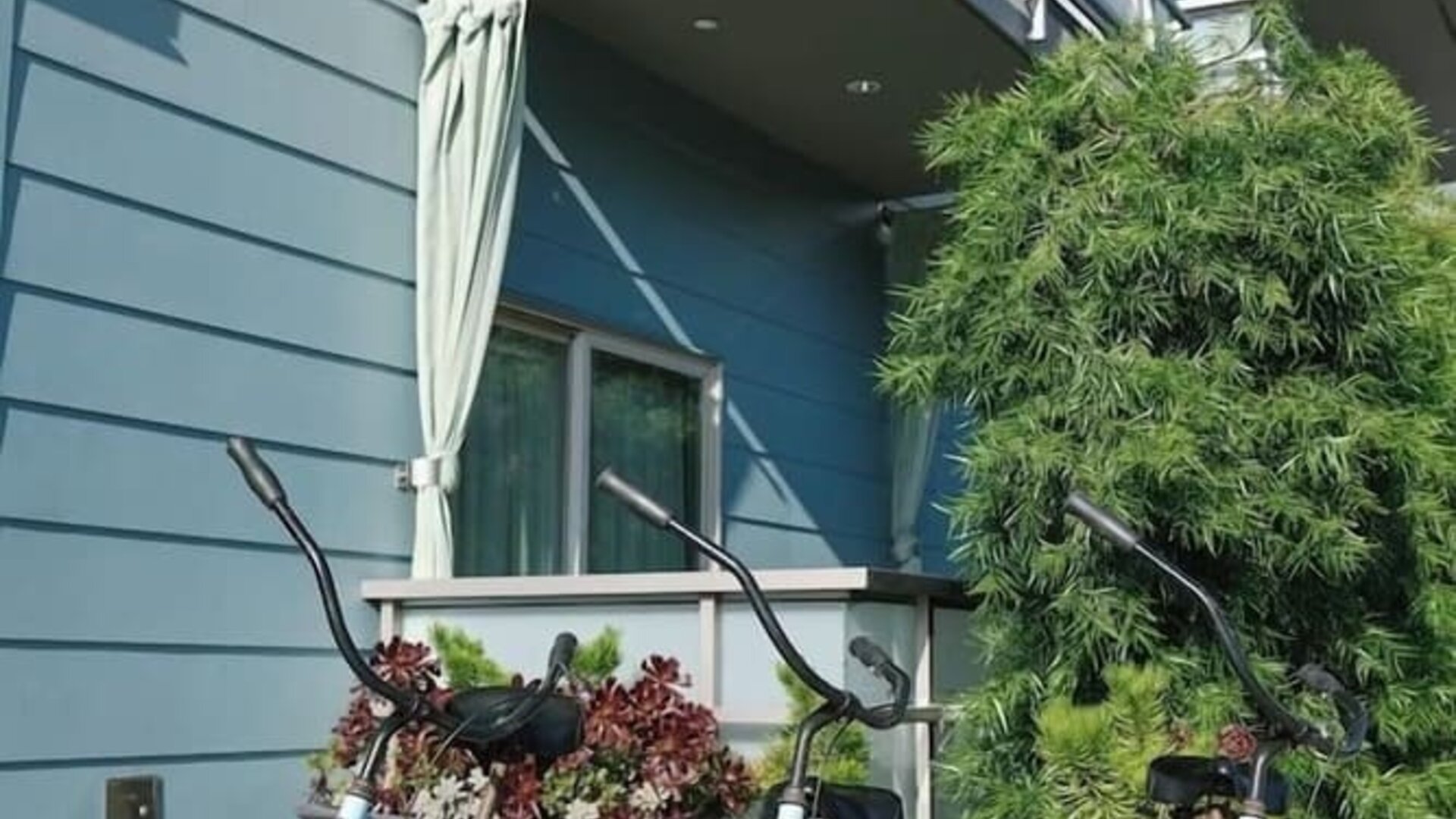 Bicycle rental at Shade Hotel Manhattan Beach.