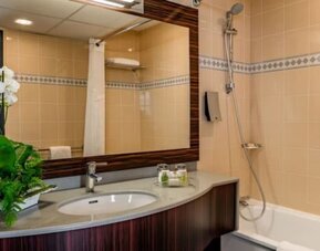 Bathroom with a bathtub and shower, large mirror, vanity sink, toiletries, and decorative plant at Holiday Inn Toulouse Airport.