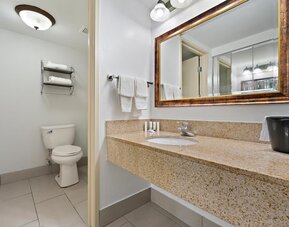 Guest bathroom featuring a beige granite vanity countertop, an inset sink, a large wood-framed mirror, white towels, a toilet, and tiled flooring at Chicago Club Inn & Suites.