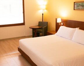 Guest bedroom with a large double bed, white bedding, wooden headboard, bedside lamps and a small seating area at Hotel Habitel Select.