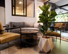 Lounge area with a grey sofa, mustard-coloured armchairs, round coffee table, large potted plant, and adjoining café seating at Hotel Living 35 Suites.
