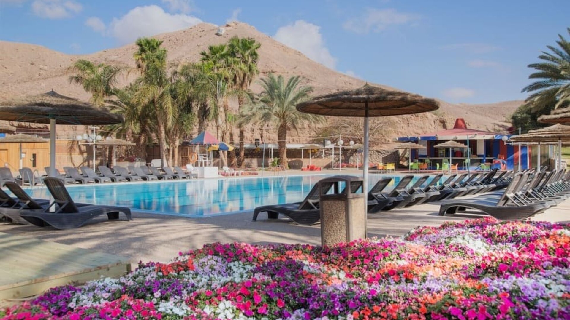 Outdoor swimming pool surrounded by sun loungers, parasols, palm trees and colourful flower beds at Prima Music Eilat.