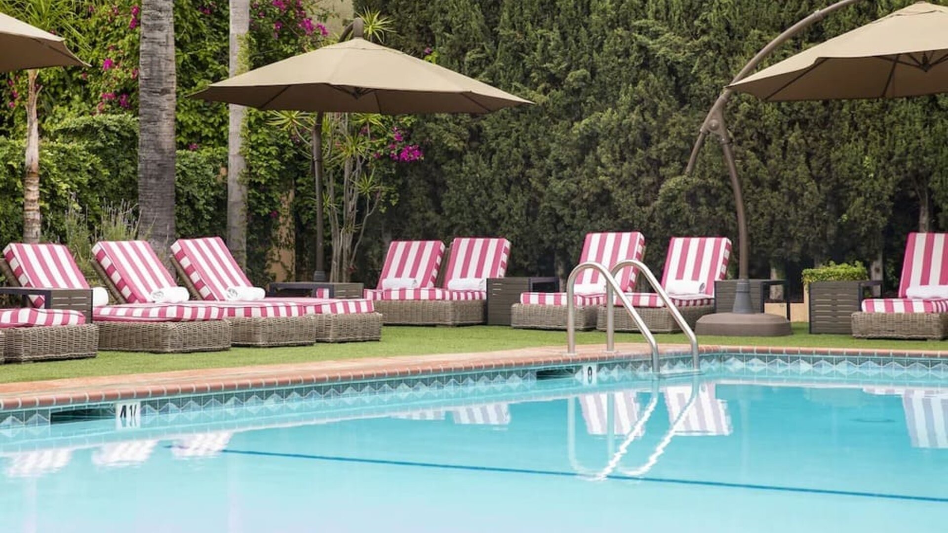 Sun loungers beside pool at Hollywood Hotel.