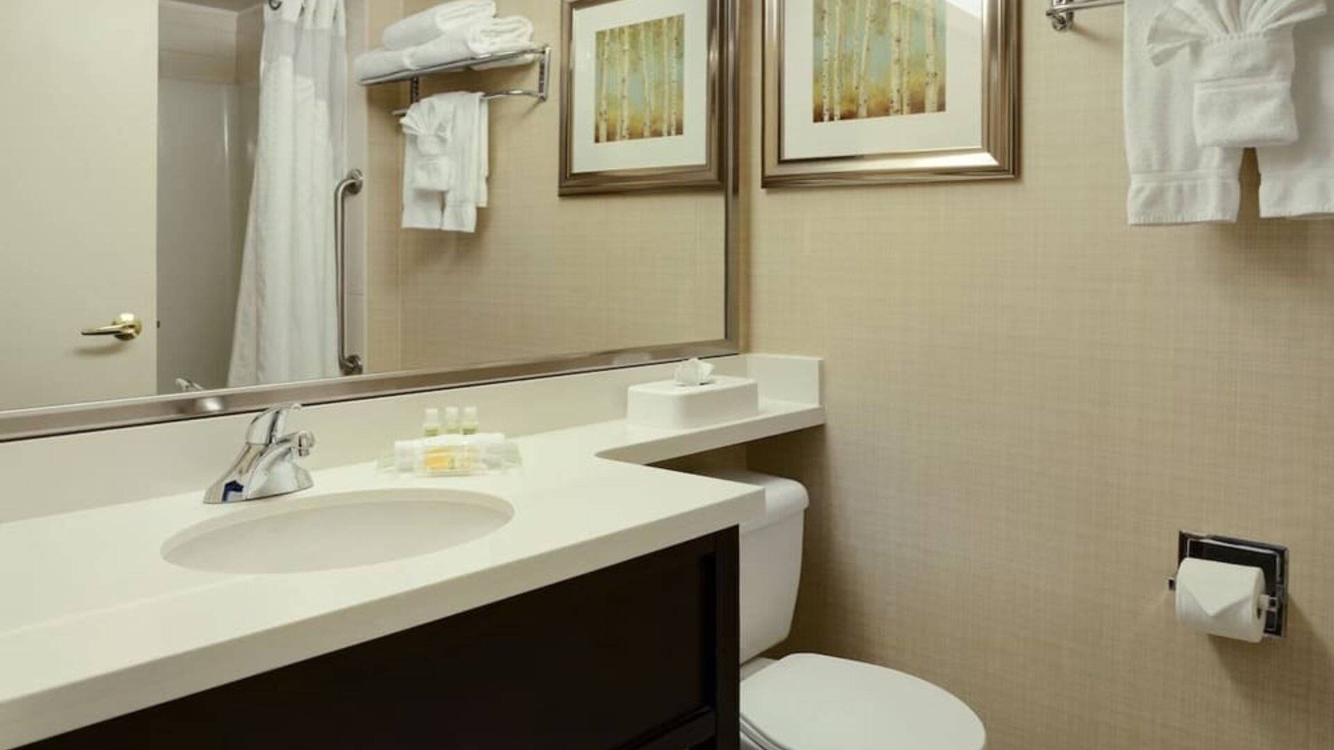 Guest bathroom with showers and free toiletries at Holiday Inn Conference Center Edmonton South.