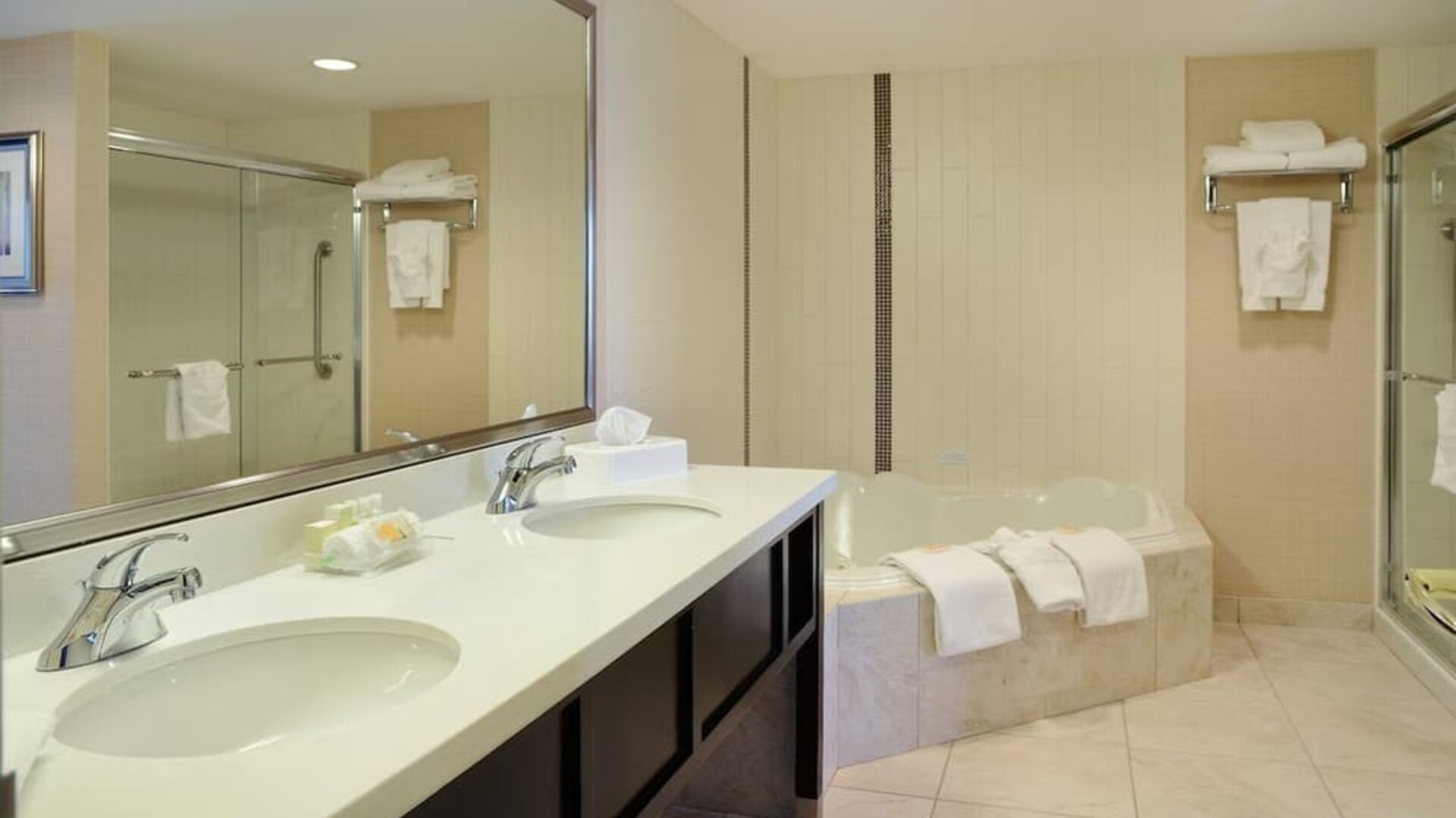 Guest bathroom with shower and hot tub at Holiday Inn Conference Center Edmonton South.
