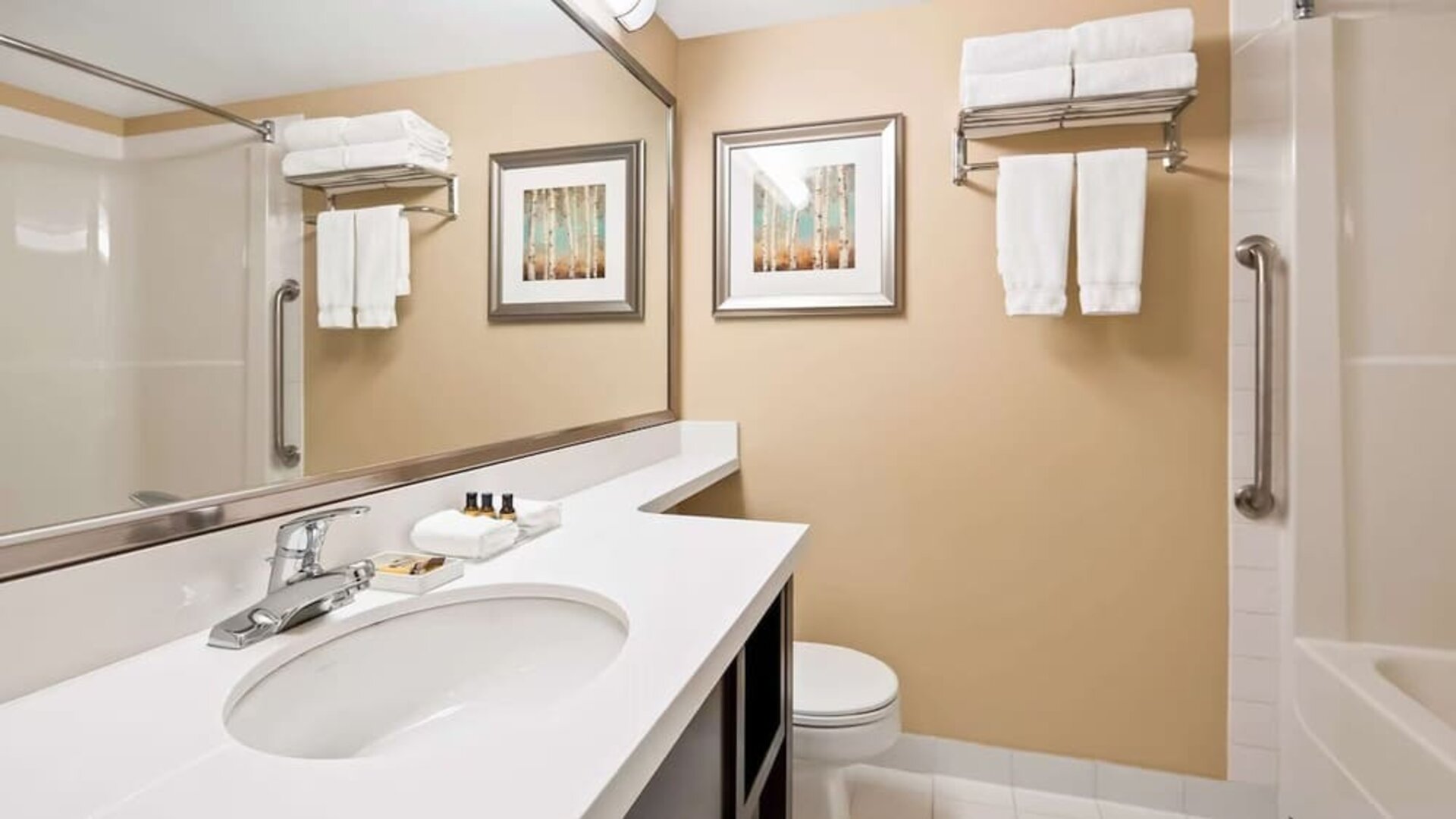 Guest bathroom with shower and tub at Best Western Plus Winnipeg Airport.