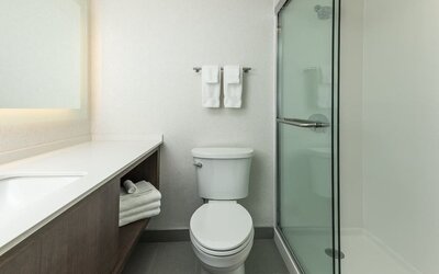 Guest bathroom with shower at Holiday Inn Kingston Waterfront.