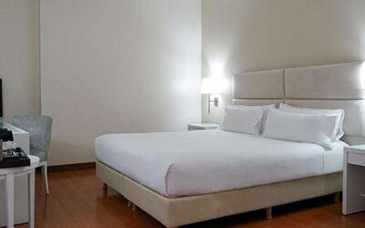 NH Mendoza Cordillera