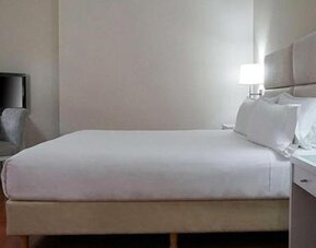 NH Mendoza Cordillera