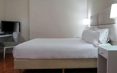 NH Mendoza Cordillera