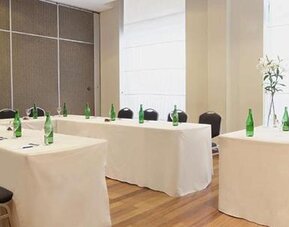 NH Mendoza Cordillera