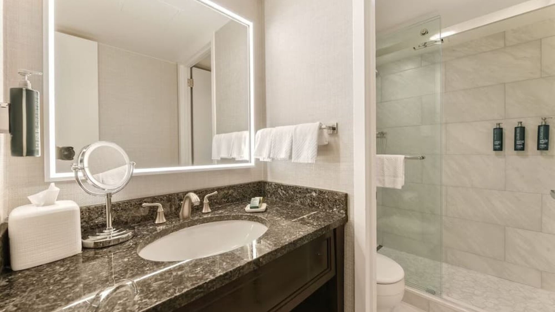 Guest bathroom with shower at Capital Hilton.
