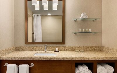 Guest bathroom with shower at Embassy Suites By Hilton Denver Downtown Convention Center.