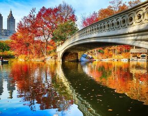 Point of interest at The Muse New York.