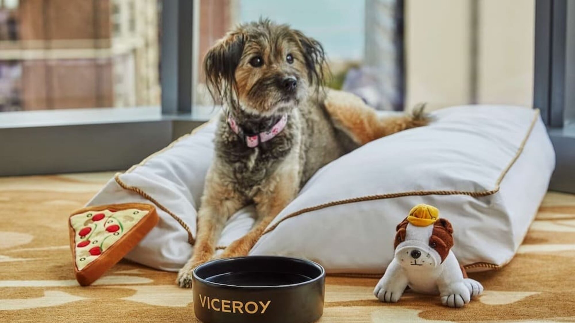 Pet friendly rooms at Viceroy Chicago.