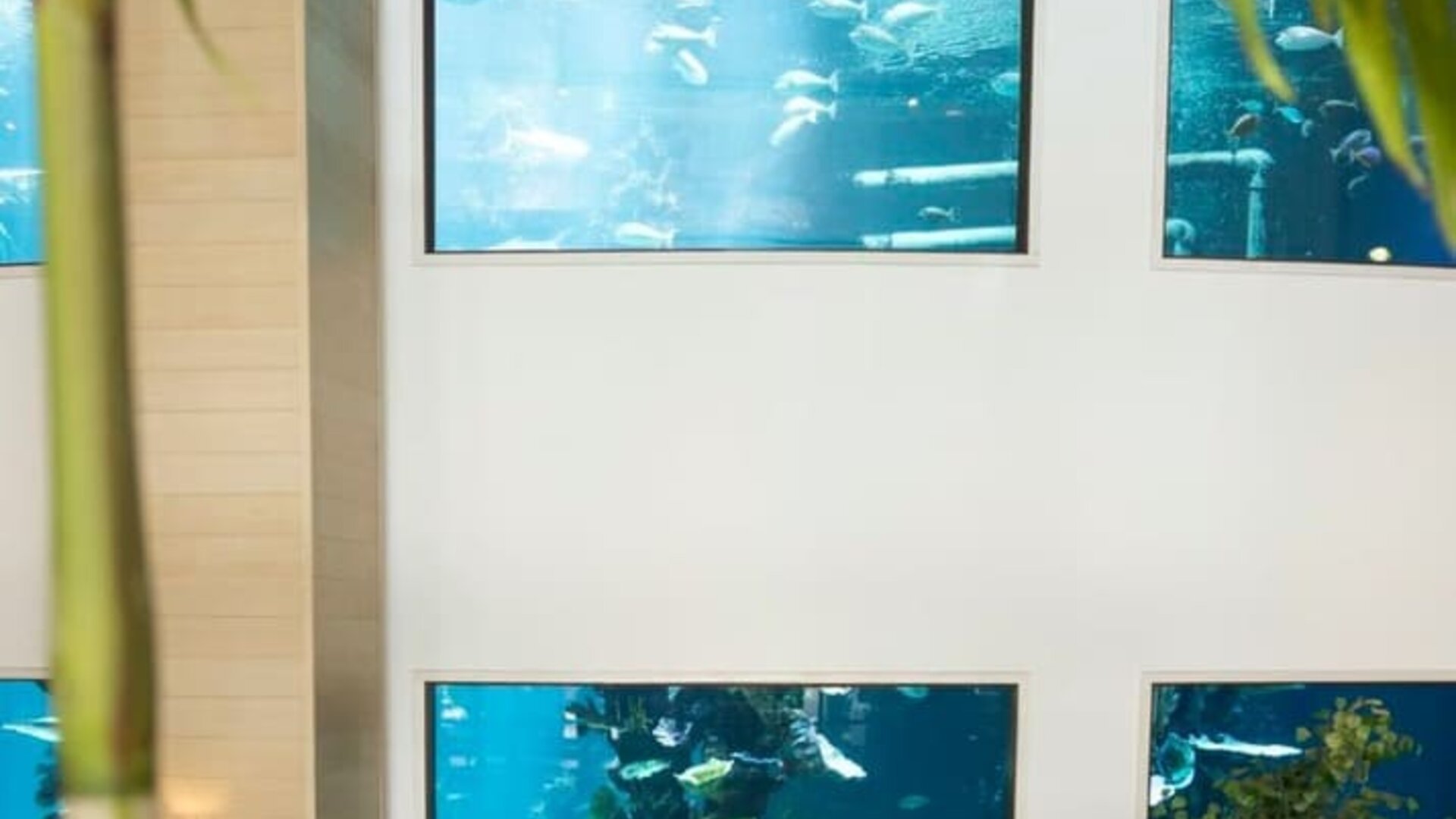 Two-story, saltwater indoor Oceanarium at Alohilani Resort Waikiki Beach.