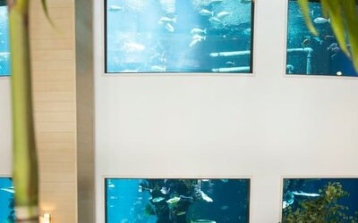 Two-story, saltwater indoor Oceanarium at Alohilani Resort Waikiki Beach.