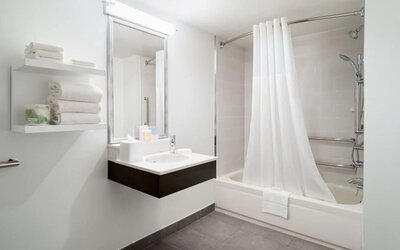 Guest bathroom with shower and tub at Hampton Inn Philadelphia Center City - Convention Center.