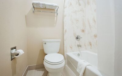 Guest bathroom at Palace Inn 290 & Jones Rd.