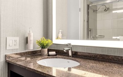 Guest bathroom with shower at Embassy Suites By Hilton Los Angeles International Airport South.
