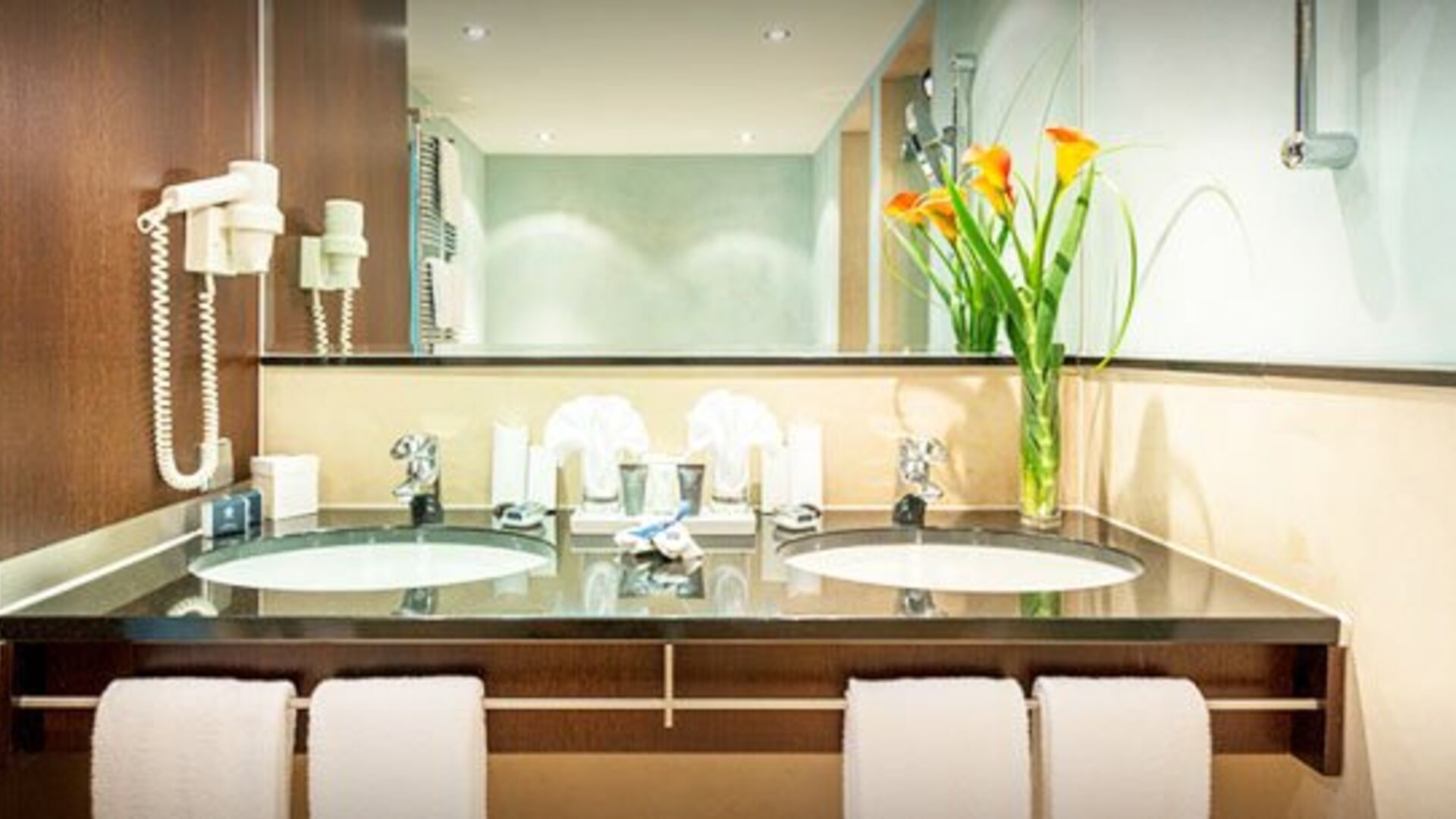 Hotel Dorint Main Taunus Zentrum Frankfurt-Sulzbach