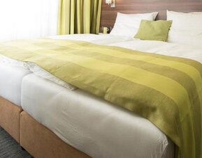 Hotel Goethe Conference Messe