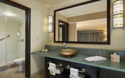Guest bathroom with shower at DoubleTree By Hilton Orlando At SeaWorld.