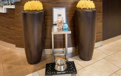 Sonesta Select Detroit Auburn Hills is pet friendly.