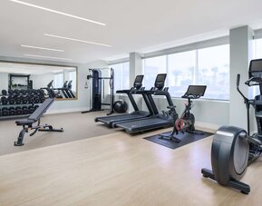 Fitness center with natural light at DoubleTree Beach Resort By Hilton Tampa Bay - North Redington.