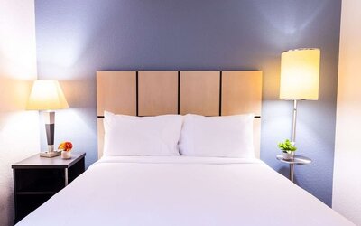 King bed at Sonesta Simply Suites Dallas Galleria.