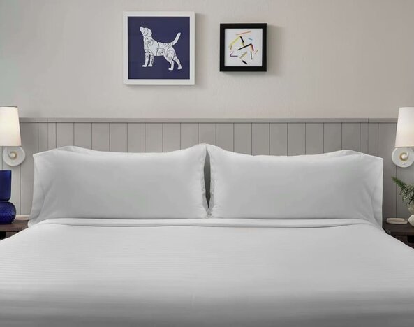 King bed at Sonesta ES Suites Austin The Domain Area.