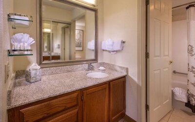 Private guest bathroom with combined shower/tub and free toiletries at Sonesta ES Suites Charlottesville University.