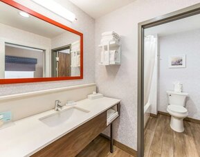 Private guest bathroom with shower and free toiletries at Hampton Inn & Suites Benton Harbor.