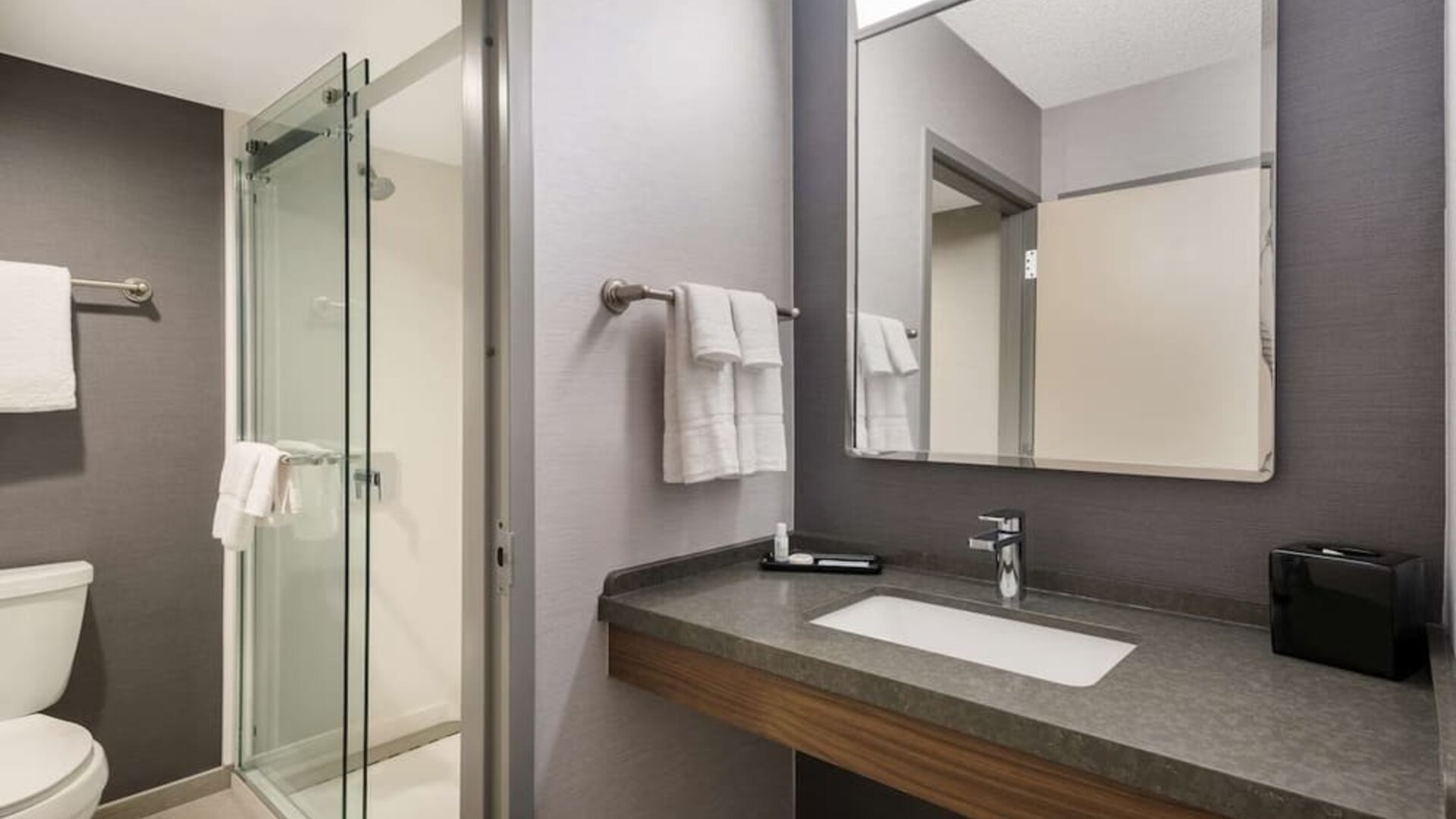 Private guest bathroom with shower at Sonesta Select San Jose Airport.