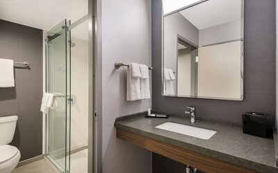 Private guest bathroom with shower at Sonesta Select San Jose Airport.