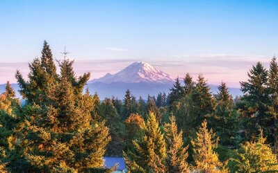 Point of interest at DoubleTree By Hilton Seattle Airport.