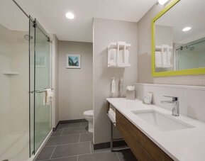Guest bathroom with shower at Hampton Inn Detroit Southfield.
