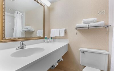 Guest bathroom with shower and free toiletries at Holiday Inn Express Chicago - Downers Grove.
