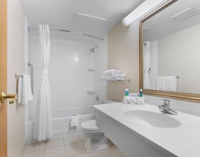 Private guest bathroom with combined shower and tub at Holiday Inn Express Chicago - Downers Grove.