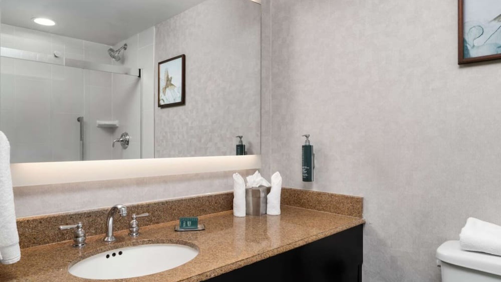 Private guest bathroom with shower and free toiletries at DoubleTree By Hilton Hartford - Bradley Airport.