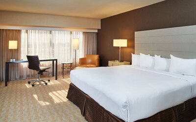 Spacious day use room with work desk and natural light at Hilton Los Angeles Airport.