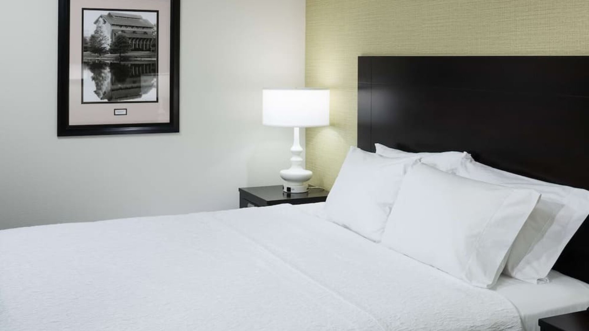 King bed at Hampton Inn & Suites Gainesville-Downtown.